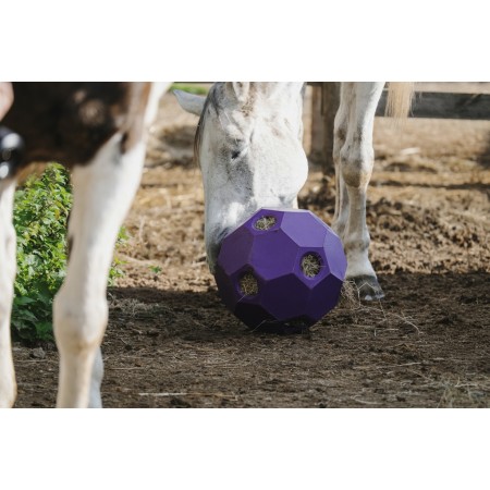 Pelota para heno de HIPPOTONIC