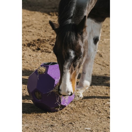 Pelota para heno de HIPPOTONIC