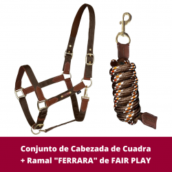 Conjunto de Cabezada de...