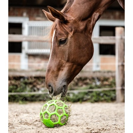 Pelota de heno de WALDHAUSEN