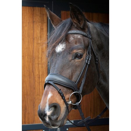 Cabezada de Montar de Cuero "SOFT BOMBASTIC" de HARRY'S HORSE