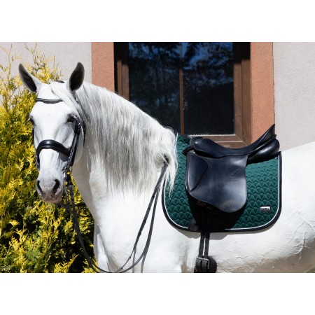 Conjunto de Mantilla “OREGON” + Orejeras "EILATE" de FAIR PLAY