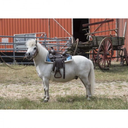 Silla de Montar Western "Topeka" para Poni de Randol's