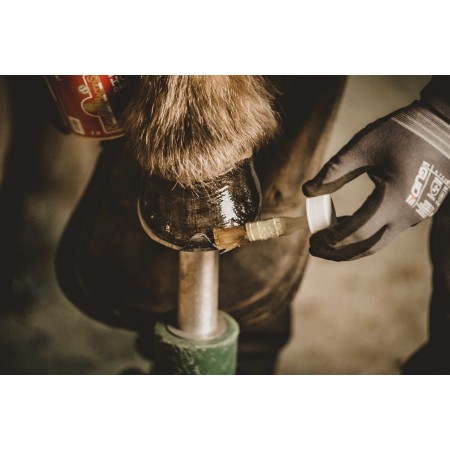 Aceite para cascos "HOOF DRESSING" de KEVIN BACON'S