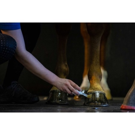 Aceite para cascos "HOOF DRESSING" de KEVIN BACON'S
