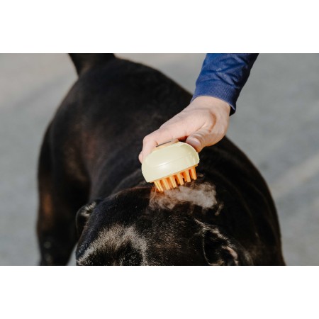 Peine Vaporizador de HIPPOTONIC