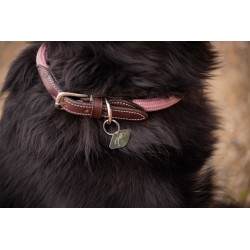 Collar para perros "BILLIE"...