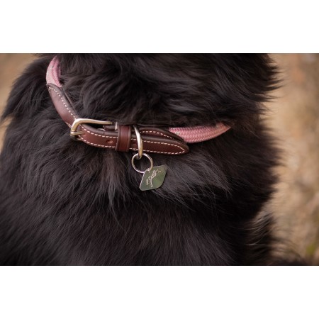 Collar para perros "BILLIE" de...