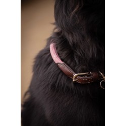 Collar para perros "BILLIE" de PENÉLOPE LEPREVOST 2