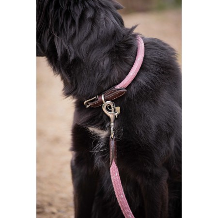 Collar para perros "BILLIE" de PENÉLOPE LEPREVOST