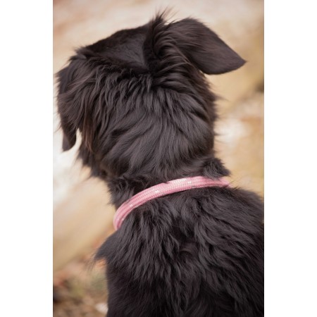Collar para perros "BILLIE" de PENÉLOPE LEPREVOST