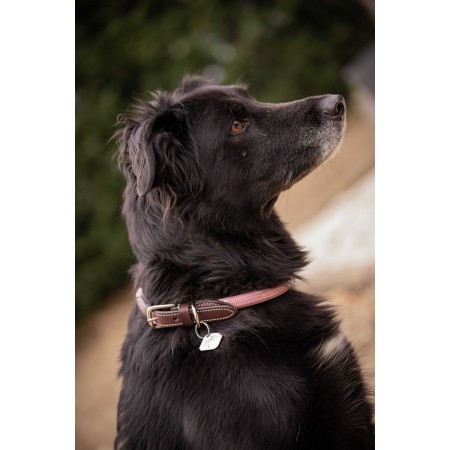 Collar para perros "BILLIE" de PENÉLOPE LEPREVOST