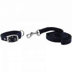 Collar y correa para perros "OSCAR" de RIDING WORLD