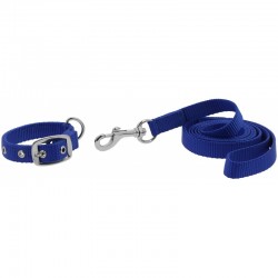 Collar y correa para perros "OSCAR" de RIDING WORLD