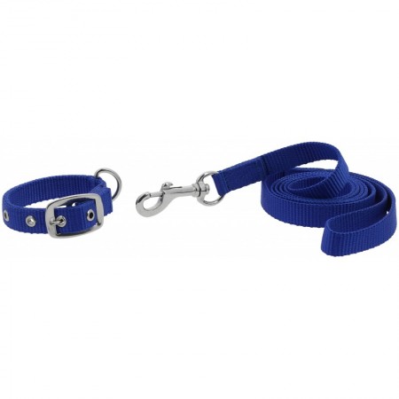 Collar y correa para perros "OSCAR" de RIDING WORLD