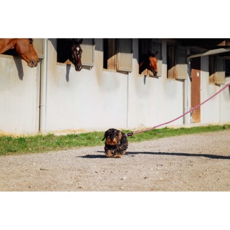 Correa para perros con asa "LUCKY" de RIDING WORLD