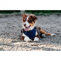 Arnés para perros "SIMBA" de RIDING WORLD 2