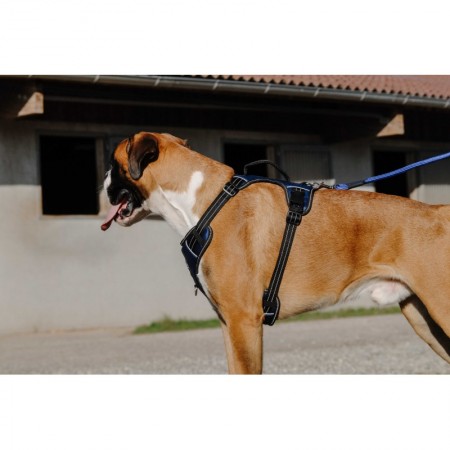Arnés para perros "SIMBA" de RIDING WORLD