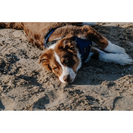 Arnés para perros "SIMBA" de RIDING WORLD