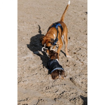 Arnés para perros "SIMBA" de RIDING WORLD