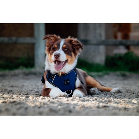 Arnés para perros "SIMBA" de RIDING WORLD
