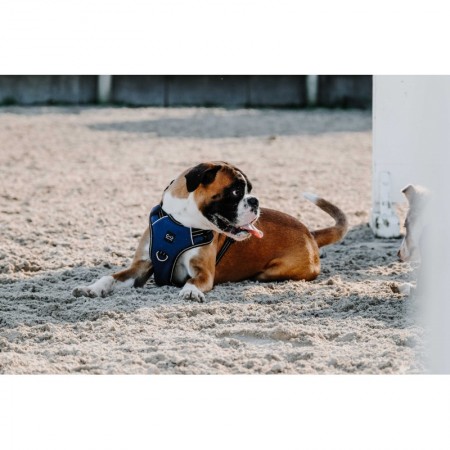 Arnés para perros "SIMBA" de RIDING WORLD