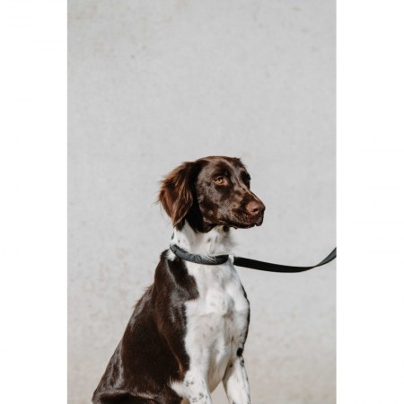 Collar para perros "NALA" de EQUITHÈME