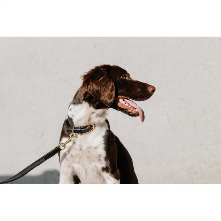 Collar para perros "NALA" de EQUITHÈME