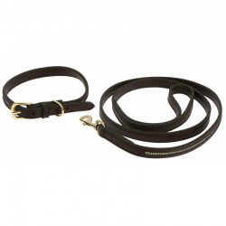 Collar y correa para perro...