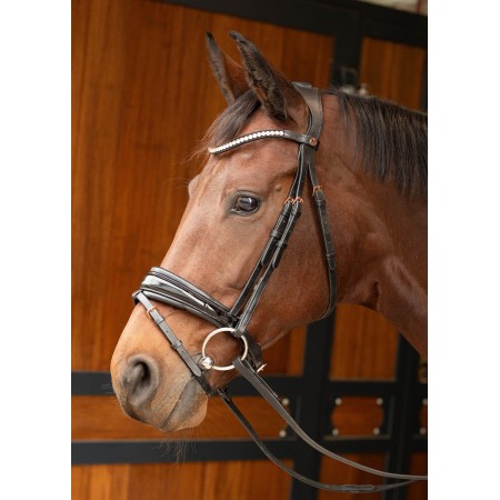Cabezada de montar "LACQUE II" de HARRY'S HORSE