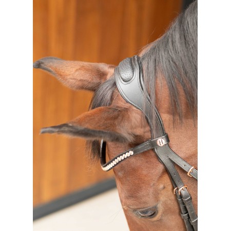Cabezada de montar "LACQUE II" de HARRY'S HORSE