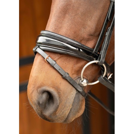 Cabezada de montar "LACQUE II" de HARRY'S HORSE