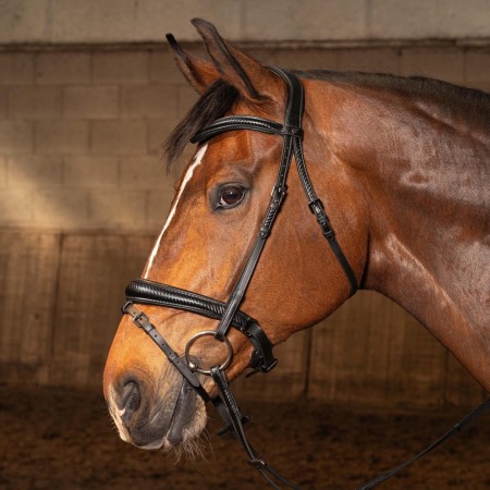 Cabezada de montar "SOFT CARBON" de HARRY'S HORSE