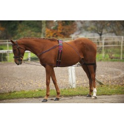 Sistema con poleas para caballo Norton 2