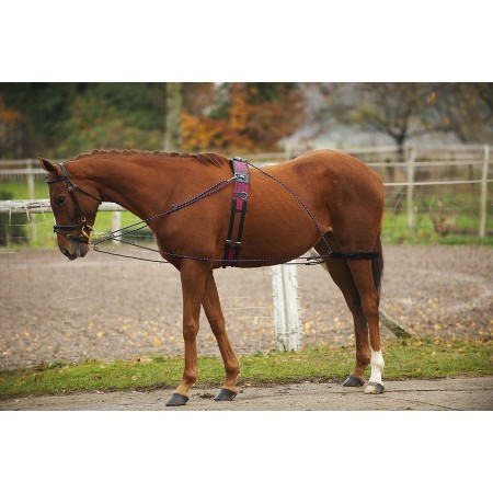 Sistema con poleas para caballo Norton