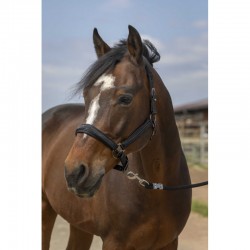 Cabezada de cuadra "NYLON STRASS" de EQUITHÈME