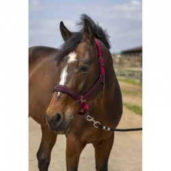 Cabezada de cuadra "NYLON STRASS" de EQUITHÈME