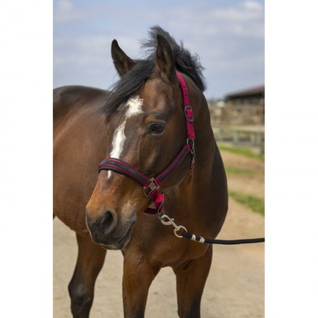 Cabezada de cuadra "NYLON STRASS" de EQUITHÈME