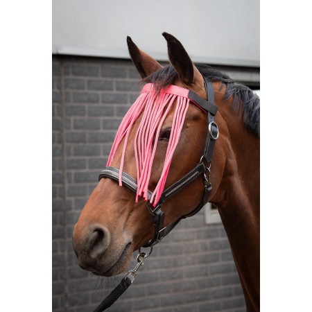 Frontalera antimoscas "COLOUR" de HARRY'S HORSE