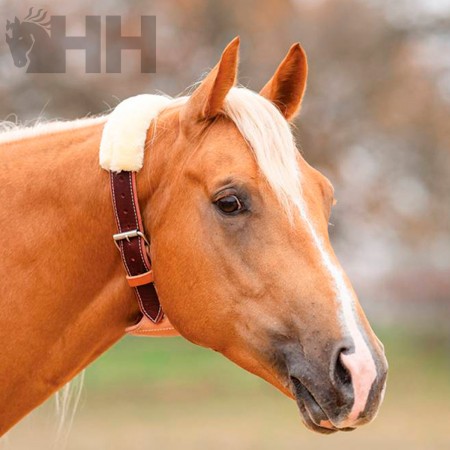Collar para no tragar Aire "DARE" de PROFESSIONAL'S CHOICE