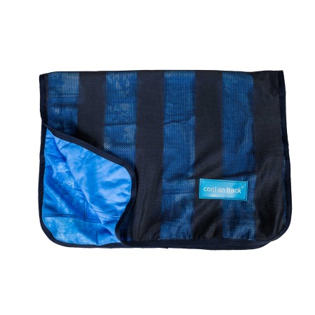 Toalla refrescante de BACK ON TRACK®