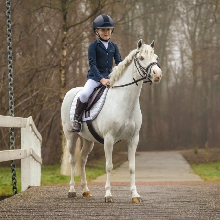 Silla de Uso General Completa "MELBOURNE" para Poni de QHP