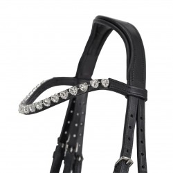Cabezada de Montar para Poni "BIXIE" de QHP 2
