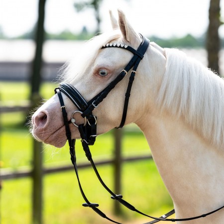 Cabezada de Montar para Poni "BIXIE" de QHP