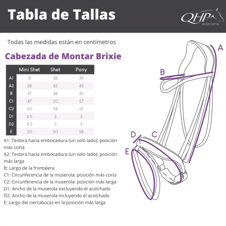 Cabezada de Montar para Poni "BIXIE" de QHP