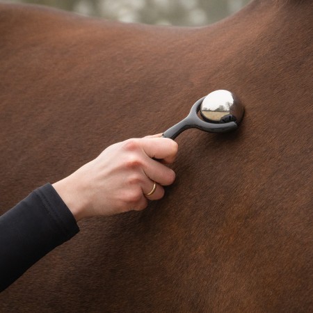 Rodillo de masaje para Caballos de QHP