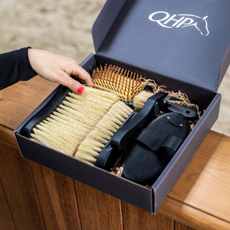 Set cepillos de limpieza "ROYAL" de QHP