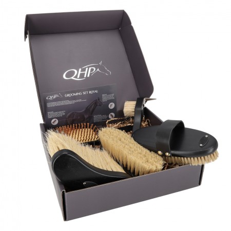 Set cepillos de limpieza "ROYAL" de QHP