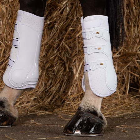 Protectores traseros "GRAND PRIX" de HARRY'S HORSE