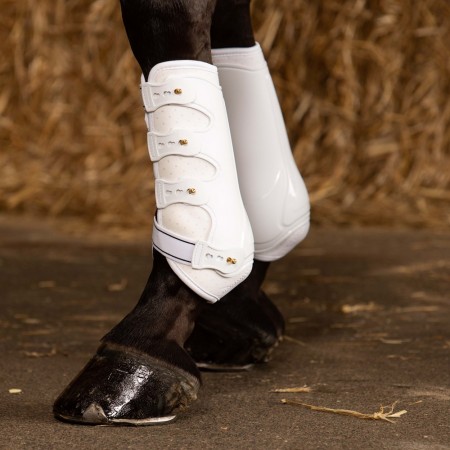 Protectores delanteros "GRAND PRIX" de HARRY'S HORSE